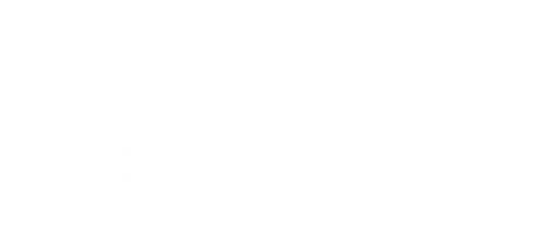 UBS Logo